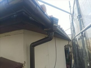 樋 竪樋
