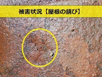 トタン屋根 錆び 雨漏り