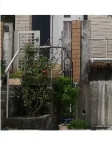 門柱周り 提案内容