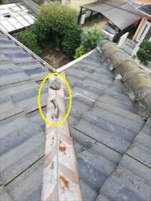 雨漏り 漆喰欠け落ち