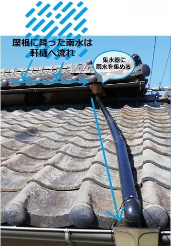 雨樋 雨水が排水される流れ 工事後