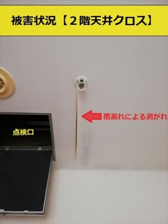 雨漏り被害状況 天井クロス剥がれ