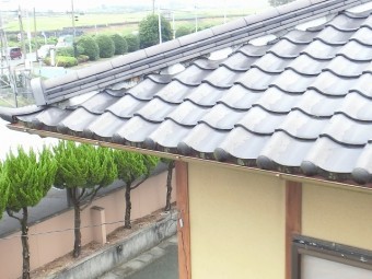 西島様3