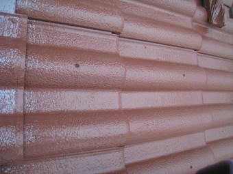 IMG_0072-1-columns2