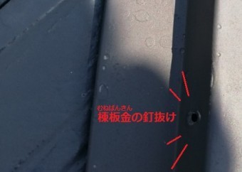 棟板金 釘抜け 台風被害