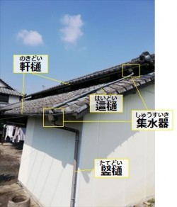 雨樋 役割 軒樋 這樋 集水器 竪樋