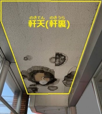 軒天 軒裏 雨漏り