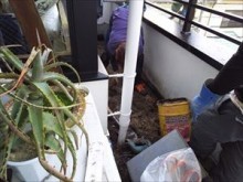 植栽撤去①