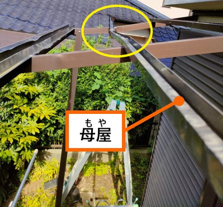 熊本市西区で強風で歪んでしまったテラス屋根の母屋と波板張り替え 熊本県で屋根工事 メンテナンスなら街の屋根やさん熊本店