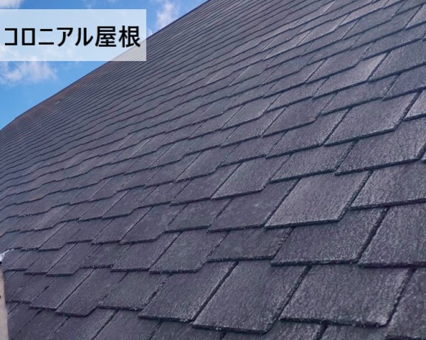 阿蘇郡南阿蘇村】スウェーデンハウスの中古別荘の屋根・外壁を調査 