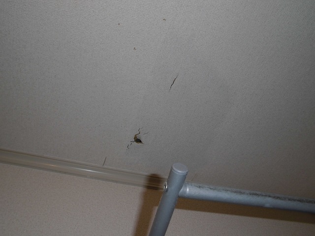 合志市雨漏り現調写真天井の穴