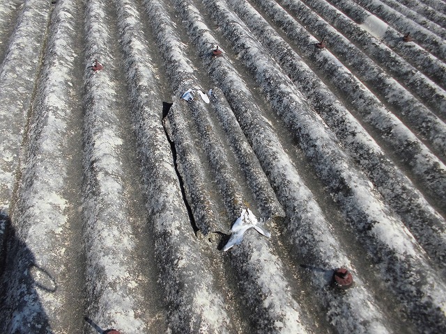 南区波板スレート現調2