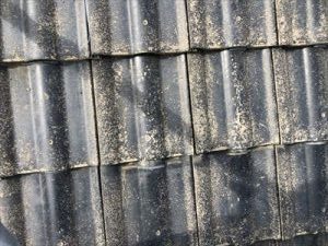 セメント瓦　色褪せ