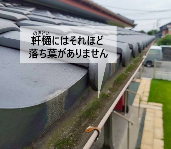 オーバーフローが起きている軒樋には落ち葉がそれほど溜まっていません