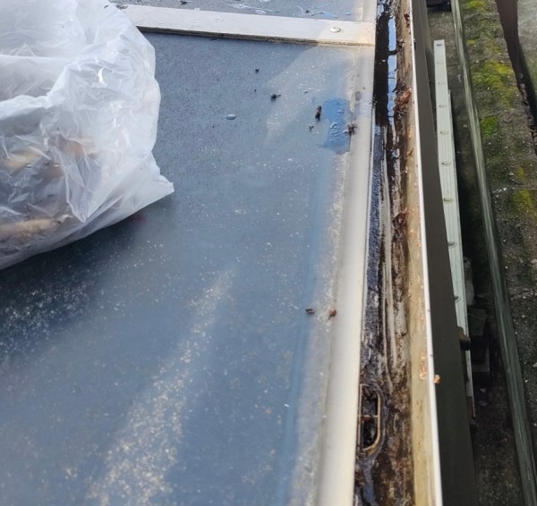 カーポート屋根の雨樋清掃が完了