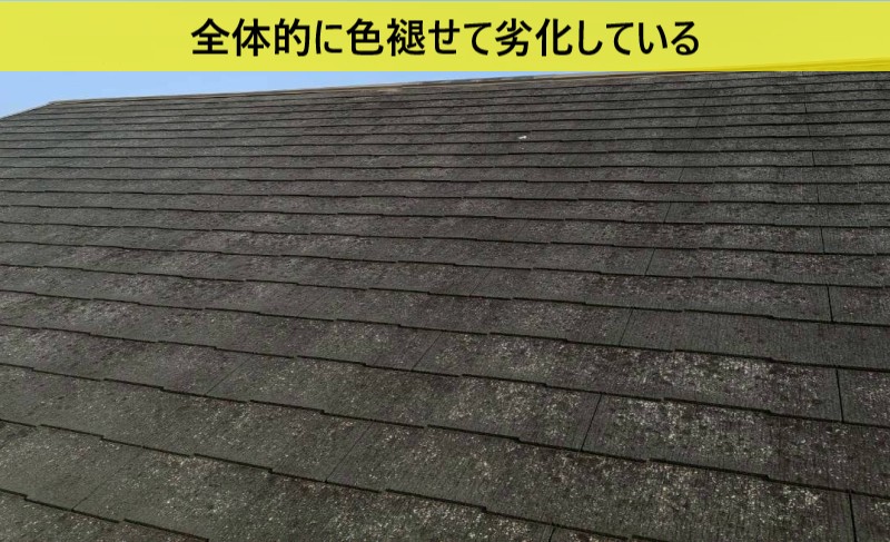 コロニアルNEOが全体的に色褪せている