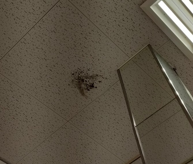 阿蘇市で店舗の天井に黒いシミができ現地調査！雨漏りではなくエアコン冷媒管の結露が原因でした