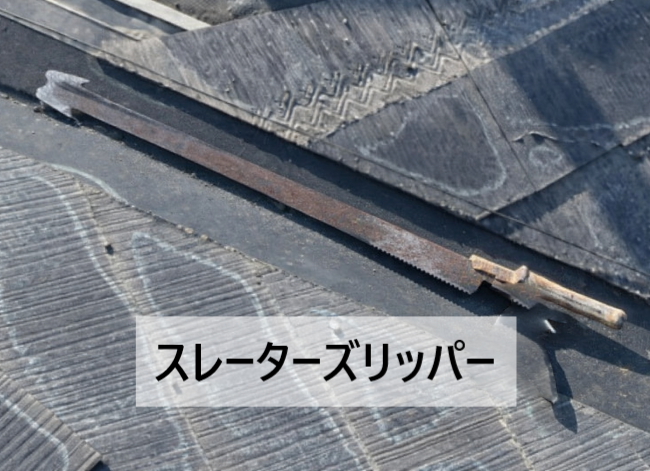 スレーターズリッパーの写真