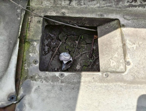 合志市で雨どいから水が漏れる原因を調査｜太陽光パネル住宅の清掃事例