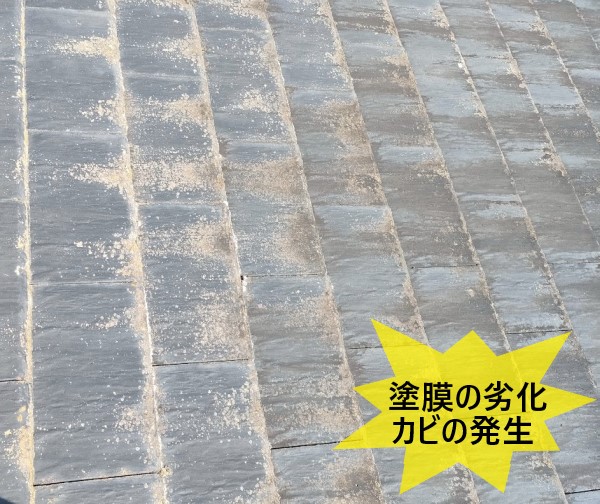 セメント瓦の塗膜の劣化によるカビの発生