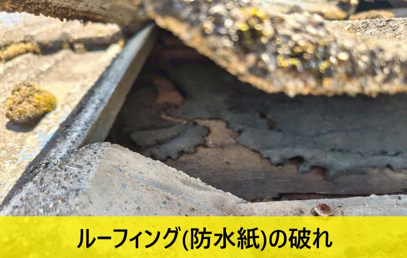 セメント瓦をめくるとルーフィング（防水紙）の破れ