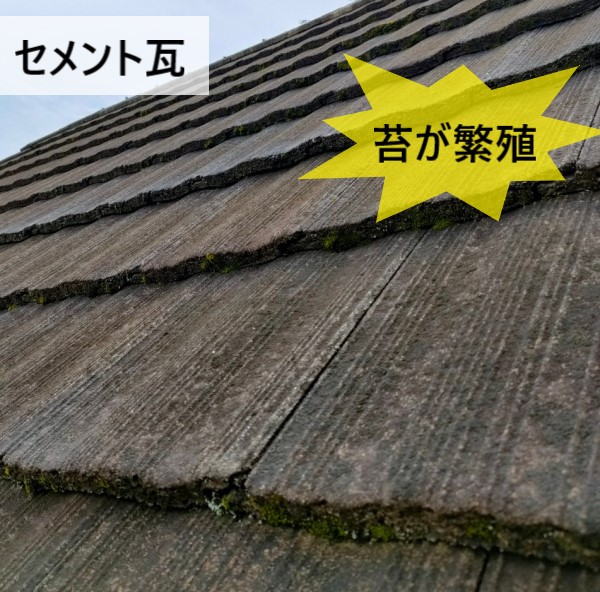 セメント瓦屋根の防水性が下がり苔が発生しています