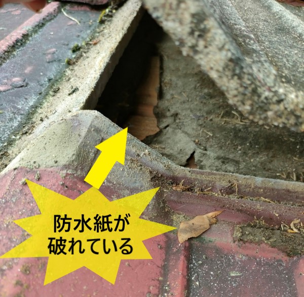 セメント瓦屋根の防水紙が破れている