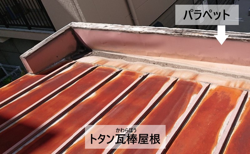 トタン瓦棒屋根にパラペットが取り付けられている