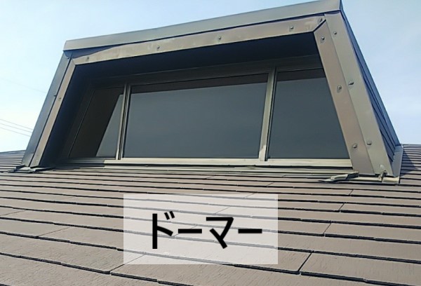 ドーマー
