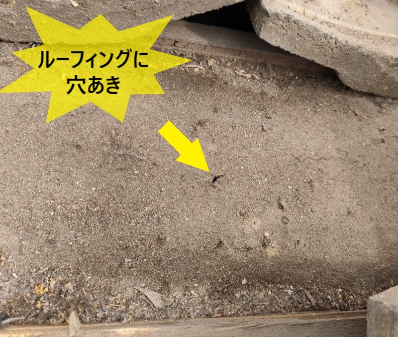 熊本市東区の平屋住宅で瓦屋根のルーフィングに穴が開いて雨漏り｜ルーフィングの重要性と雨漏りの対処法について解説します！