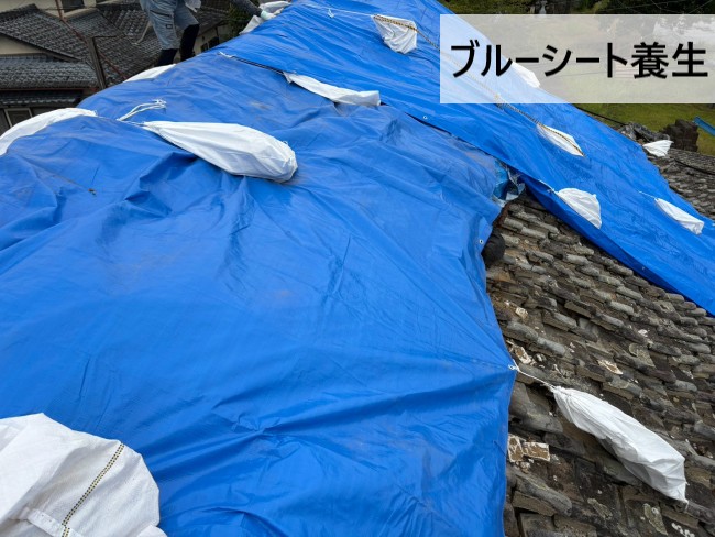 宇城市で地震被災した瓦屋根をブルーシート養生｜築60年の土葺き屋根