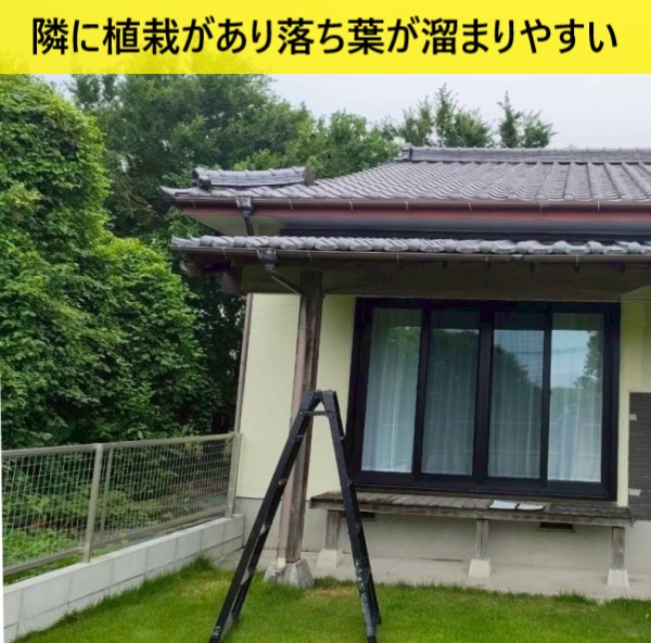 住宅のすぐ隣に植栽があり軒樋に落ち葉が溜まりやすい状況