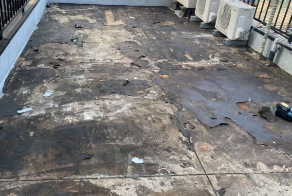 古い防水層を撤去した状態