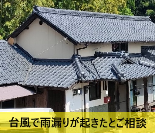 台風で雨漏りが起きたとご相談いただいた住宅