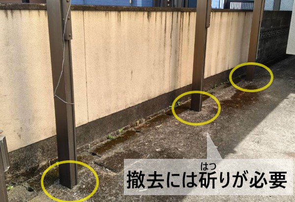 土間コンに埋まっているカーポートのため、撤去には斫りが必要えです