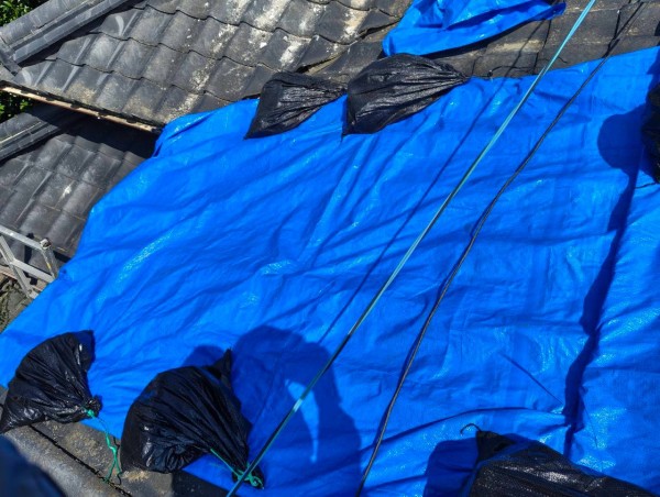 地震で瓦が割れた下屋にブルーシート養生
