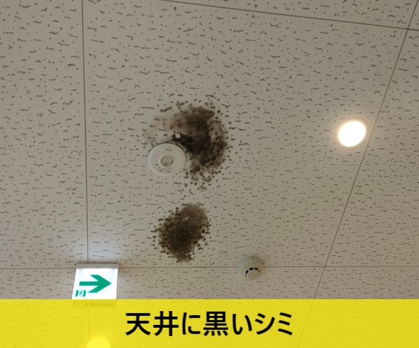 熊本市中央区の店舗ビル天井でシミが発生！雨漏りではなくエアコン冷媒配管の結露が原因でした