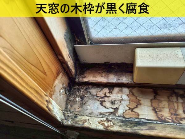 天窓の木枠が雨漏りにより黒く腐食している
