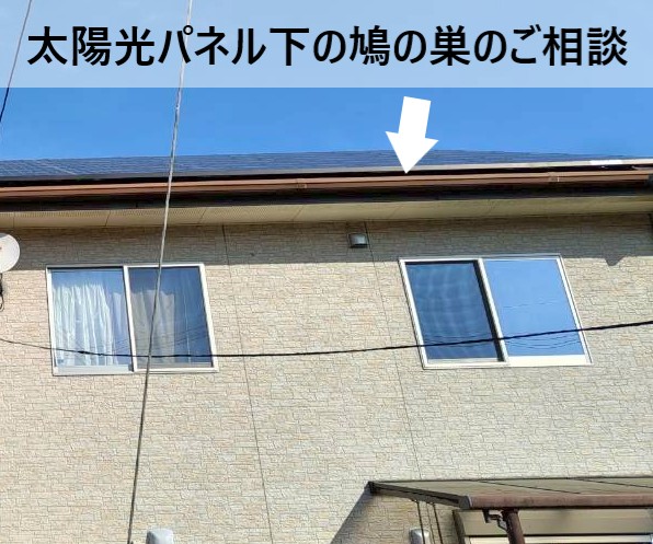 太陽光パネル下の鳩の巣について相談いただいた住宅