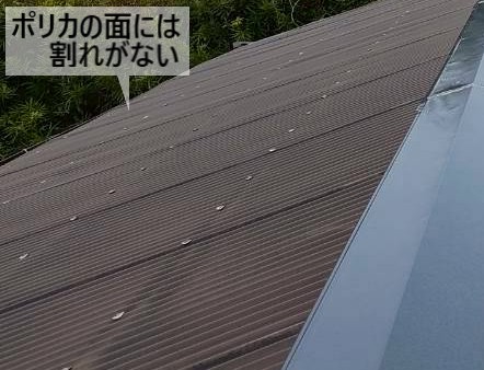 小屋のポリカの面には割れがありません
