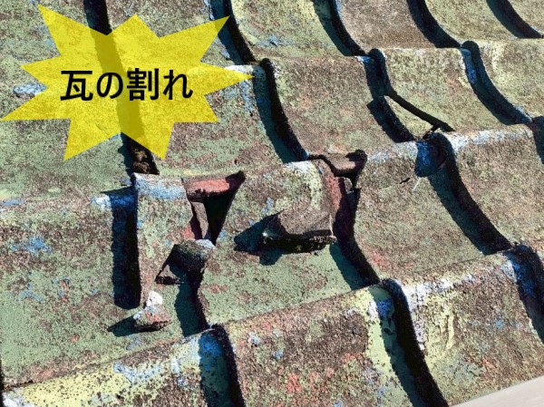 小屋の瓦が割れていました