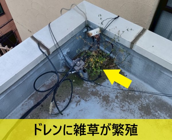 【上益城郡益城町】3階建てビルで発生した雨漏りを調査!ドレンの詰まりと縦樋外れ