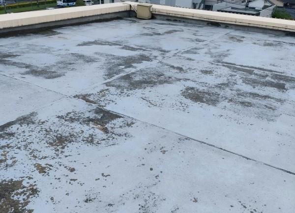 屋上防水が劣化している