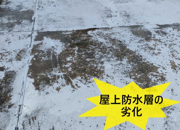 屋上防水層の劣化