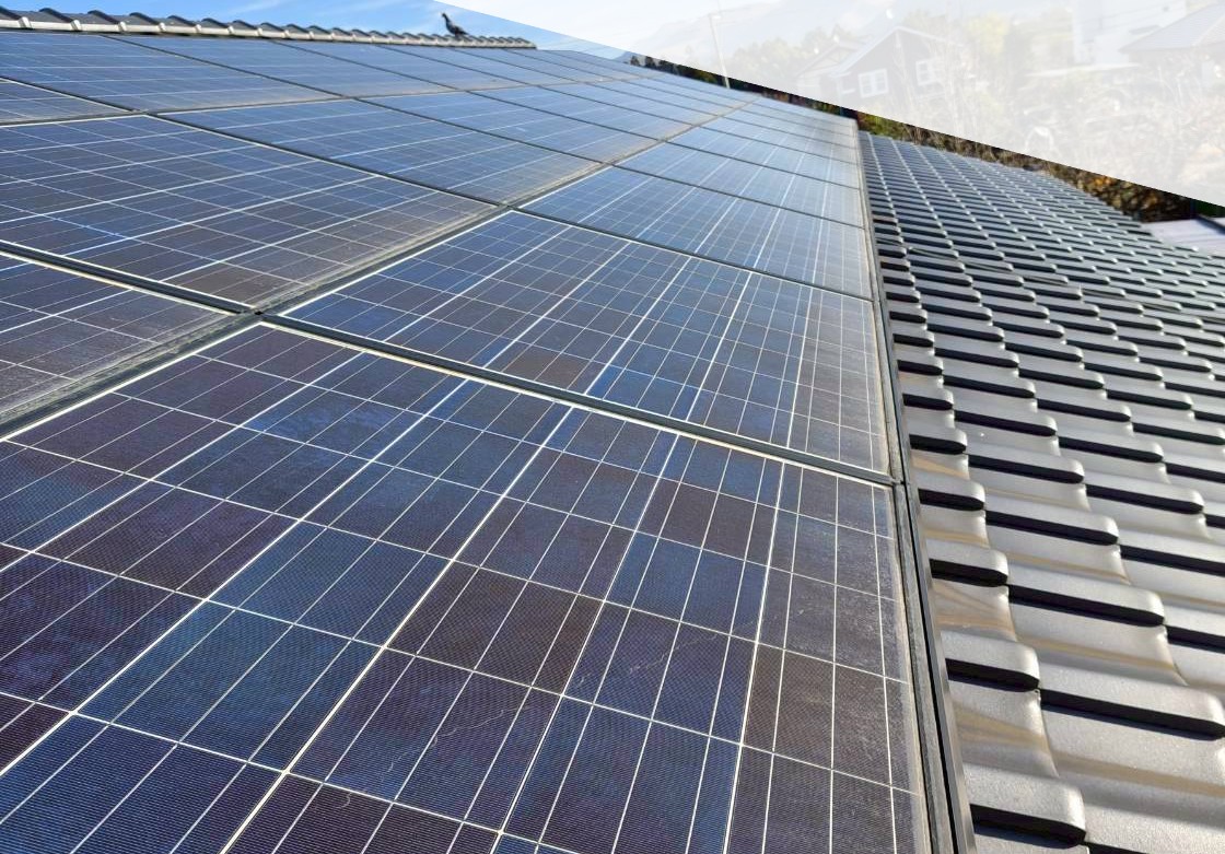 屋根の太陽光パネルに鳩の巣を作られているとご相談いただいた住宅