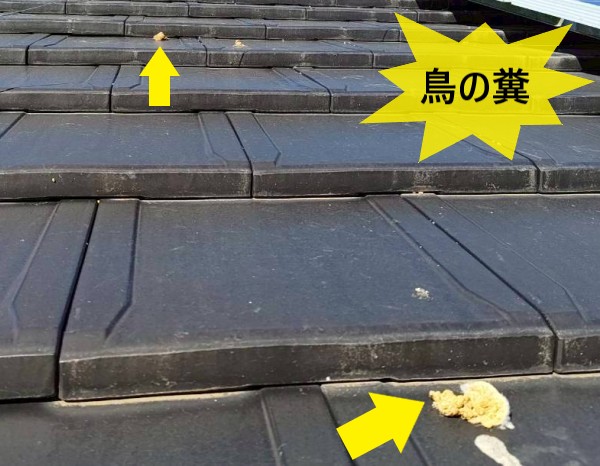 屋根瓦に乗っている鳥の糞