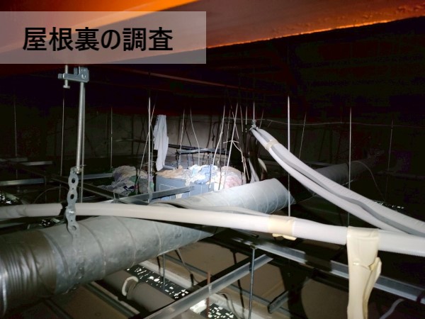 屋根裏に入って調査を行います