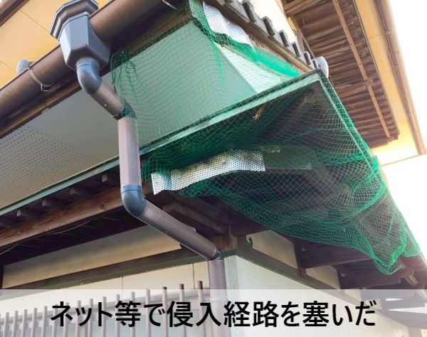 屋根裏に猫が侵入しないようにネットで侵入経路を塞いでもらった