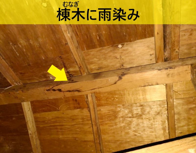 熊本市東区|築30年超アパートの雨漏り調査!棟木に雨染みとコロニアルは寿命を迎えていました
