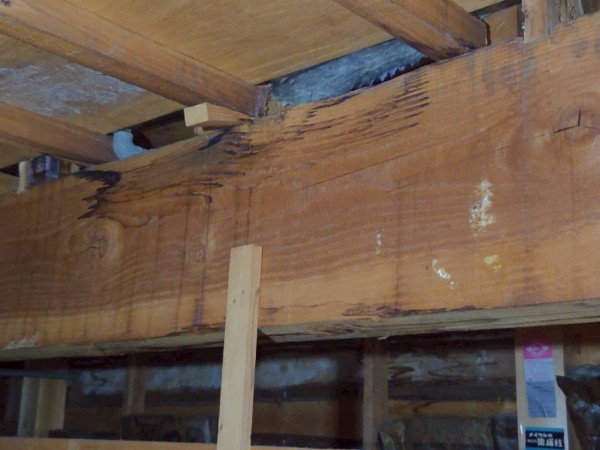 屋根裏の構造部に雨漏りのシミ